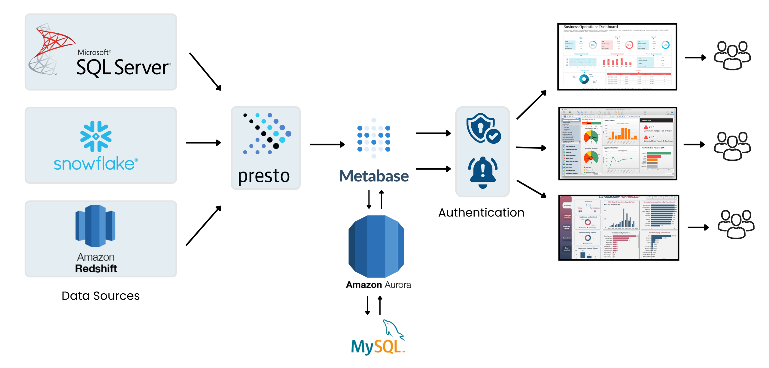 Metabase Insights for Decisions
